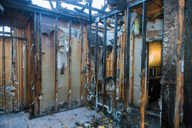 Professional Soot Removal technician working in Apopka, FL