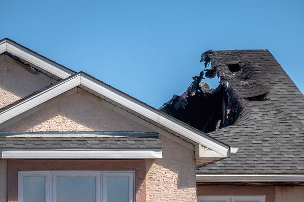 Top rated local Soot Removal specialists in Apopka, FL